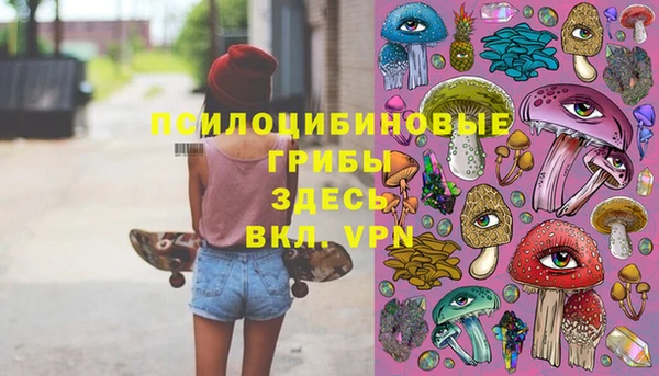 метадон Армянск